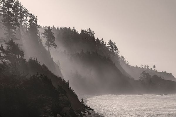 Haney, Chuck 아티스트의 Sea mist rises along Indian Beach at Ecola State Park in Cannon Beach-Oregon-USA작품입니다.
